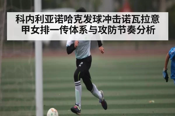 科内利亚诺哈克发球冲击诺瓦拉意甲女排一传体系与攻防节奏分析